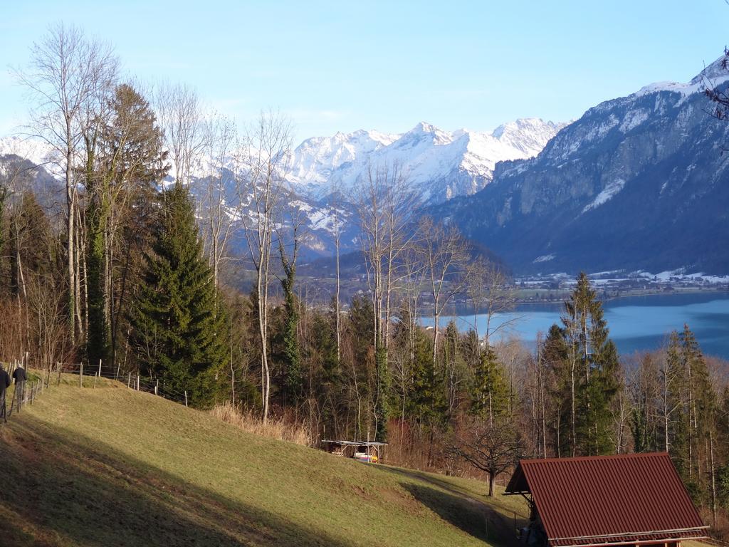Seeli Hofstetten bei Brienz Pokój zdjęcie