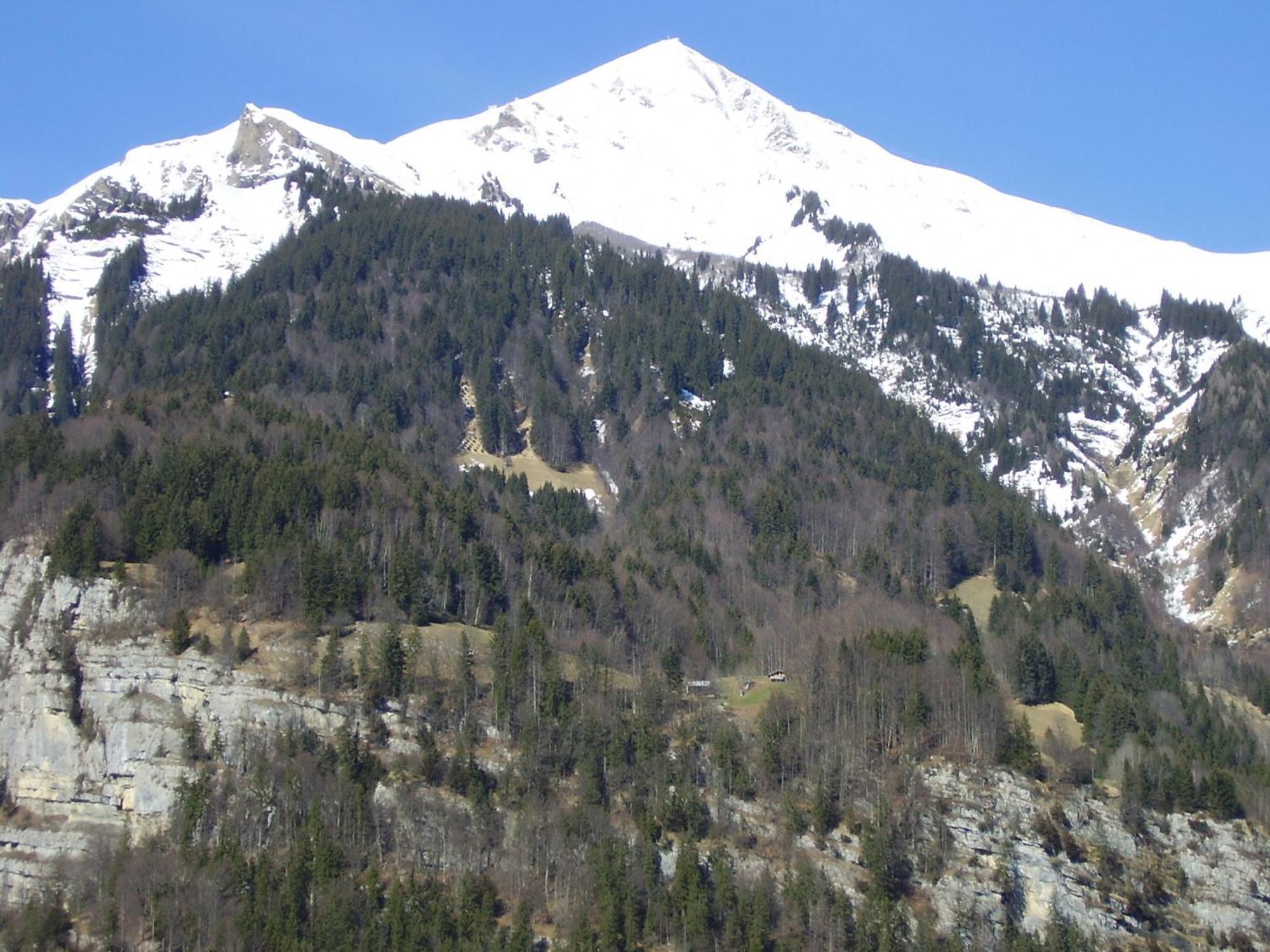 Seeli Hofstetten bei Brienz Zewnętrze zdjęcie