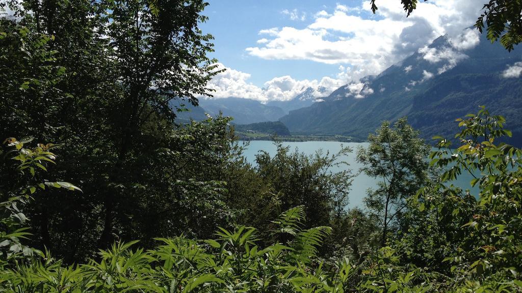 Seeli Hofstetten bei Brienz Pokój zdjęcie